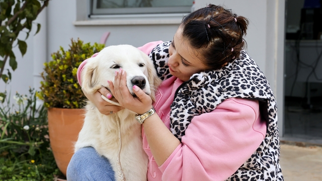 Antalya'da sokak hayvanları yeni sahiplerini bekliyor
Sahiplenmek için 18 yaşını doldurmuş Türk vatandaşı olmak, kira sözleşmesi, tapu ve apartmanlar için yönetici izni yeterli
