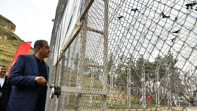 Bereket sembolü kafesteki 277 kelaynak doğaya salındı