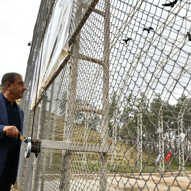 Bereket sembolü kafesteki 277 kelaynak doğaya salındı