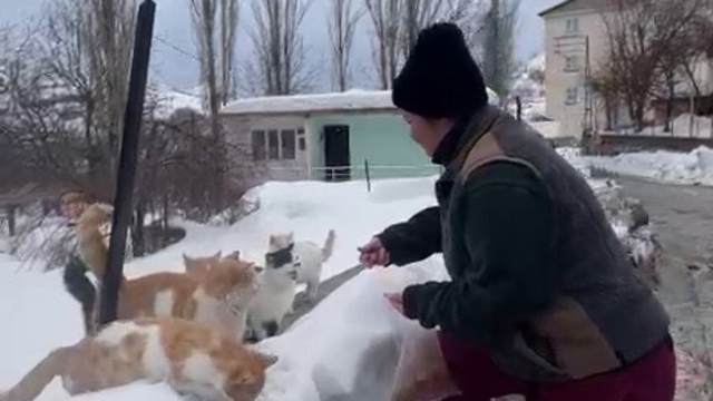 Sokak hayvanlarını beslemek için her yıl bin 400 kilometre yol geliyor