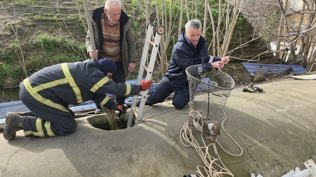 Su deposuna düşen yavru köpek 6 saat sonra kurtarıldı