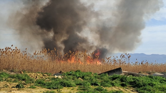 İznik'te rüzgarla birlikte sazlık yangını büyüyor