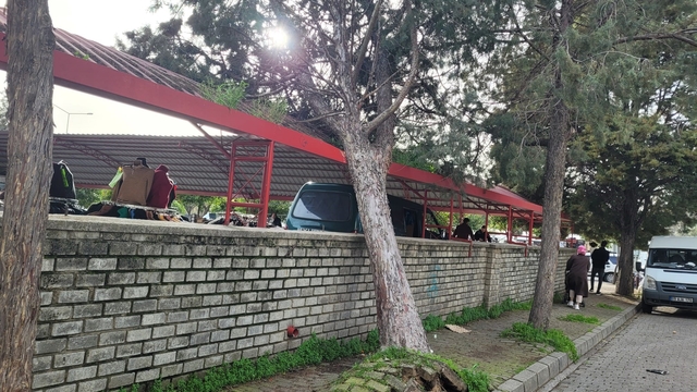 Efekent Pazaryeri'nde rüzgar ağacı devirdi
