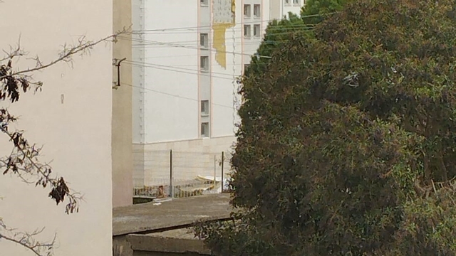 Çanakkale'de fırtına ağaçları devirdi