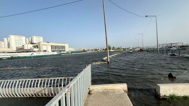 İzmir’de kuvvetli rüzgarda park halindeki otomobilin üzerine ağaç devrildi (2)