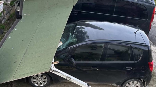 Bodrum'da fırtına etkili oldu ağaçlar devrildi, tekne karaya oturdu (2)