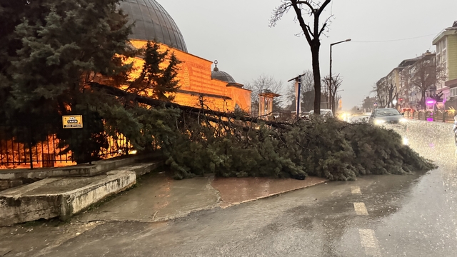 Edirne’de fırtına ağaçları devirdi