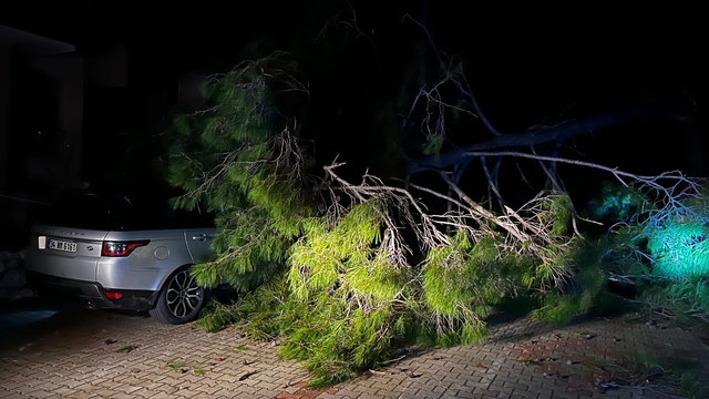 Marmaris'te fırtına ağaç devirdi: 1 kişi yaralandı
