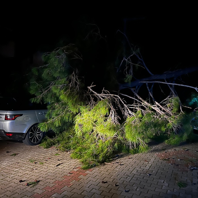 Marmaris'te fırtına ağaç devirdi: 1 kişi yaralandı