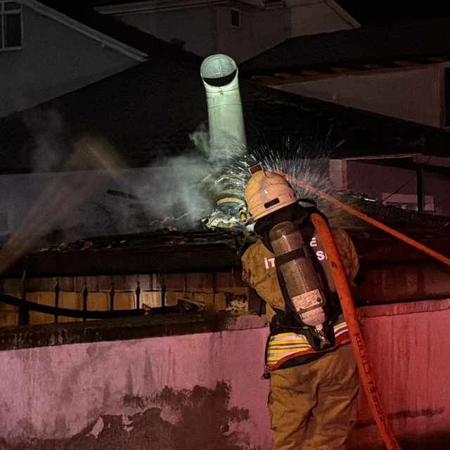 Düzce'de rüzgarın etkisi ile çıkan yangın büyümeden söndürüldü