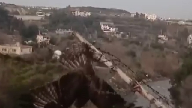 Tellere takılan şahin kurtarıldı