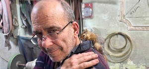 Ormanda bulduğu sincap en yakın dostu oldu
Bıçak ustası ile sincabın kıskan...