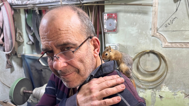 Ormanda bulduğu sincap en yakın dostu oldu
Bıçak ustası ile sincabın kıskandıran dostluğu