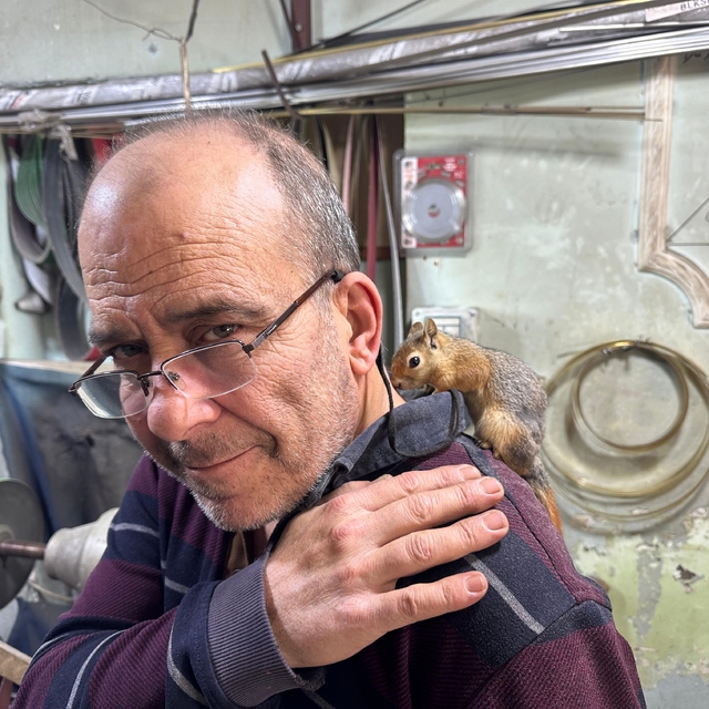 Ormanda bulduğu sincap en yakın dostu oldu
Bıçak ustası ile sincabın kıskan...