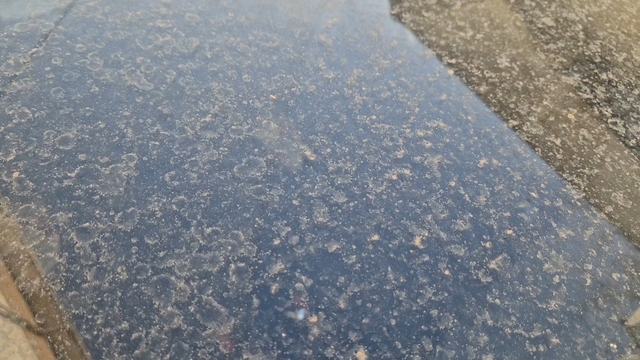 Tekirdağ'da çamur yağdı