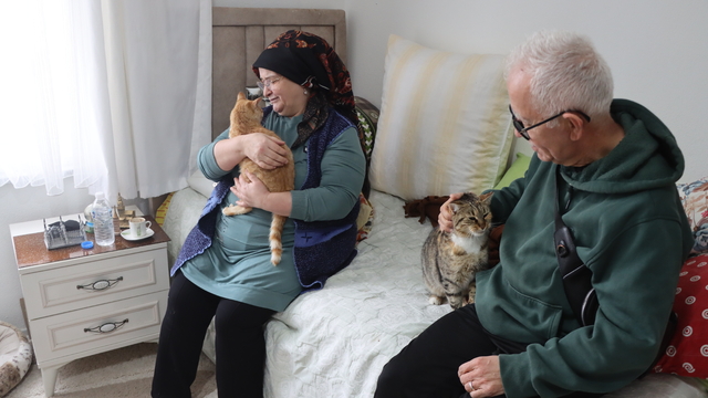 Doktor önerisiyle başlayan kedi sevgisi 40 kedilik yuvaya dönüştü