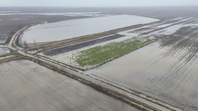 Sağanak yağmurdan sonra binlerce dönüm tarım arazisi sular altında kaldı
Çukurova'da sular altında kalan tarım arazileri dron ile görüntülendi