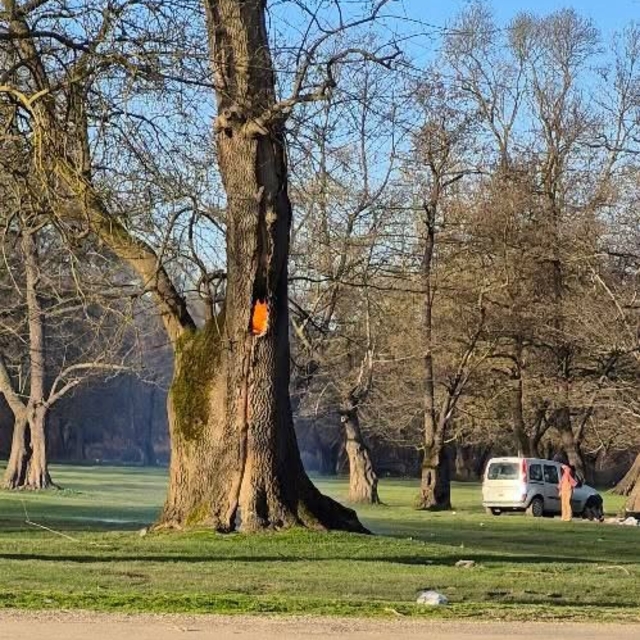 Ağaç kovuğunda yangın çıkarıldı