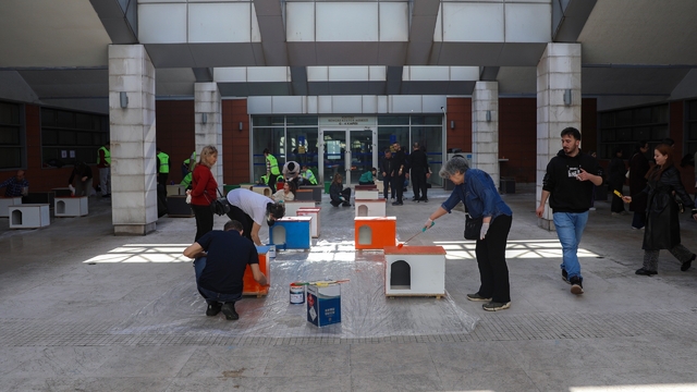 Can dostlara sıcak yuva