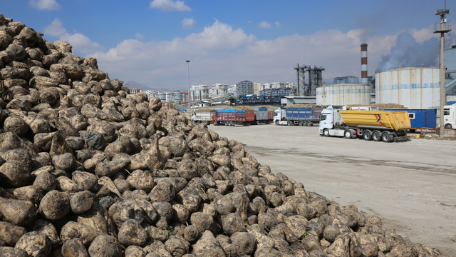 Konya Şeker'den üreticiye toplam 12 milyar 780 milyon 545 bin TL'lik ödeme