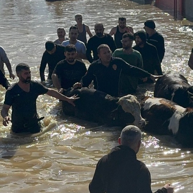 Taşan Gediz Nehri dolayısıyla mahsur kalan 44 kişi ve 127 hayvan kurtarıldı