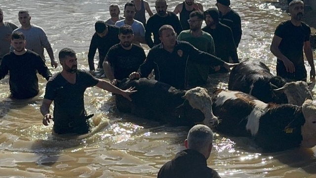 Taşan Gediz Nehri dolayısıyla mahsur kalan 44 kişi ve 127 hayvan kurtarıldı
