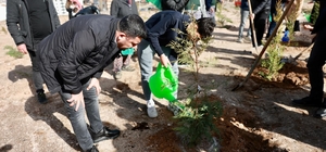 Nevşehir'de binlerce fidan toplarla buluştu