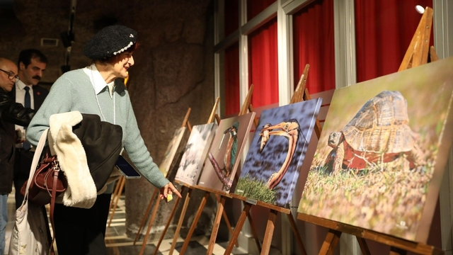 Kuş Cenneti'nden muhteşem kareler TBMM yolunda