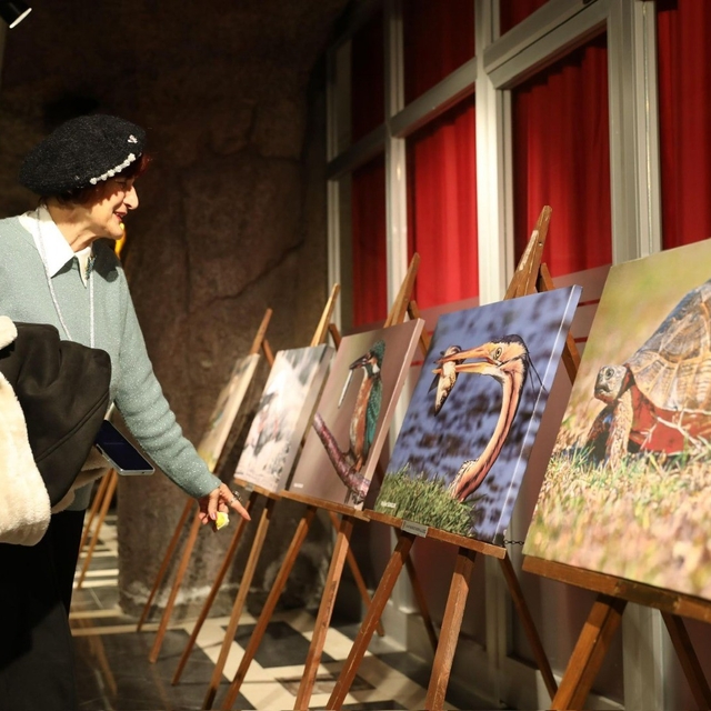 Kuş Cenneti'nden muhteşem kareler TBMM yolunda