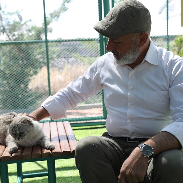 Kayseri'de ilk ve tek küçük dostları Kedi Kasabası, ziyaretçi rekoru kırıyo...