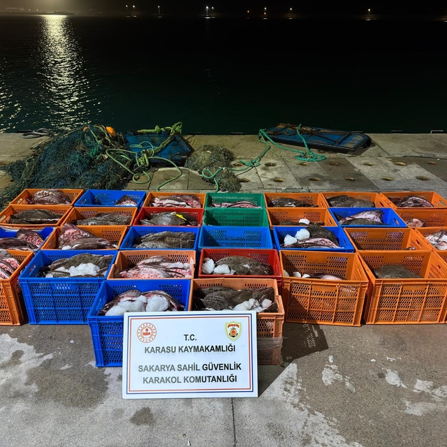 Ülkeye kaçak getirilen 300 kalkan balığı ele geçirildi