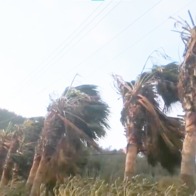 Muğla'ya fırtına uyarısı