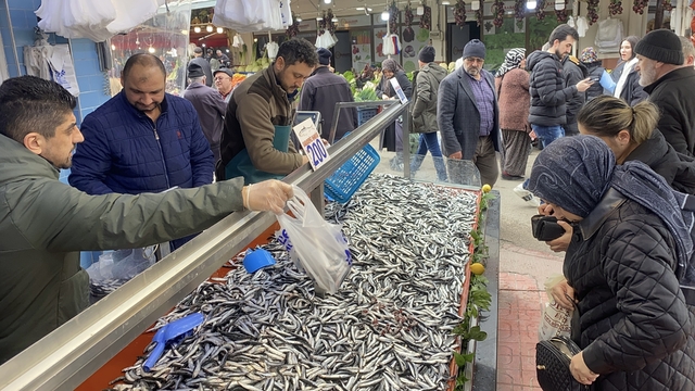 Bolu'da hamsi bolluğu sürüyor: Kilosu 200 liradan rağbet gördü