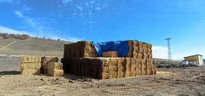 Tokat'ta elektrik akımına kapılan genç son yolculuğuna uğurlandı