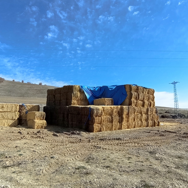 Tokat'ta elektrik akımına kapılan genç son yolculuğuna uğurlandı