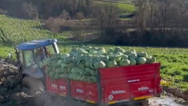 Çiftçinin zor anları
Sakarya'da çamura saplanan lahana yüklü römork güçlükle çıkarıldı