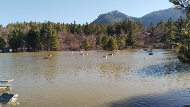 Seydişehir'de arı kovanları su altında kaldı