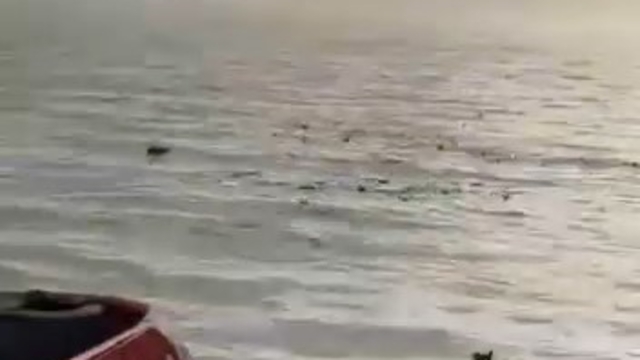 Denizi şehir çöplüğüne çevirdiler
Limanda utandıran görüntü