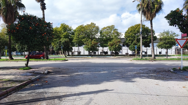 Bulvarda sürekli kaza olmasına esnaf isyan etti
Barış Bulvarı'nda meydana gelen kazalar anbean güvenlik kamerası tarafından görüntülendi