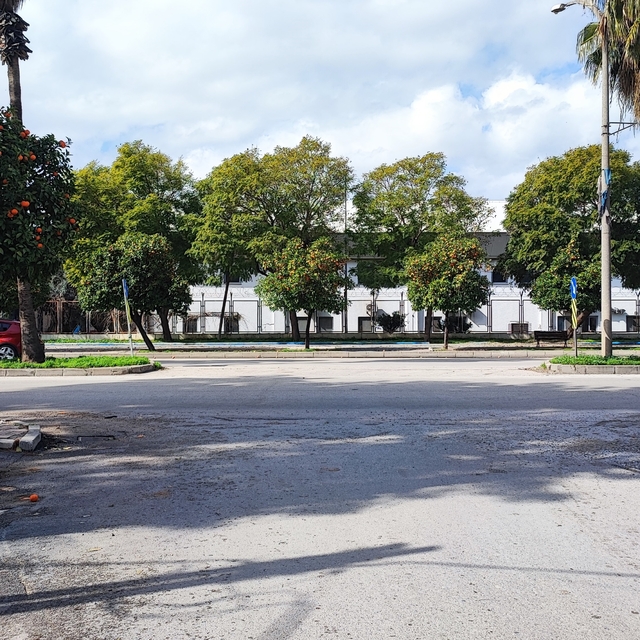 Bulvarda sürekli kaza olmasına esnaf isyan etti
Barış Bulvarı'nda meydana g...