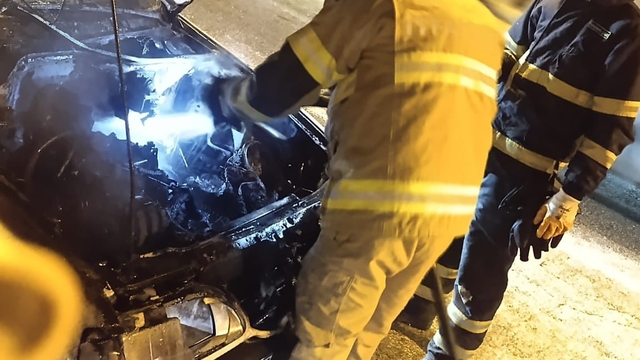 Mardin'de otomobilde çıkan yangın söndürüldü