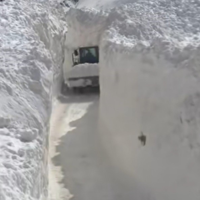 Çığ nedeniyle kapanan köy yolunda zorlu karla mücadele çalışması