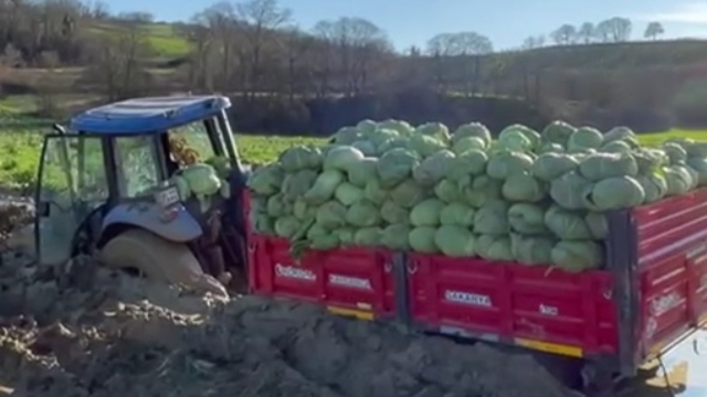 Çamura batan traktörü çıkarmak isteyen çiftçilerin 2 traktörü de çamura saplandı