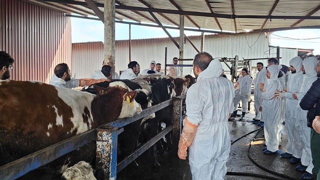 Diyarbakır'da gezici klinikle besi ve kümes hayvanlarına verilen mobil hizmet sürüyor