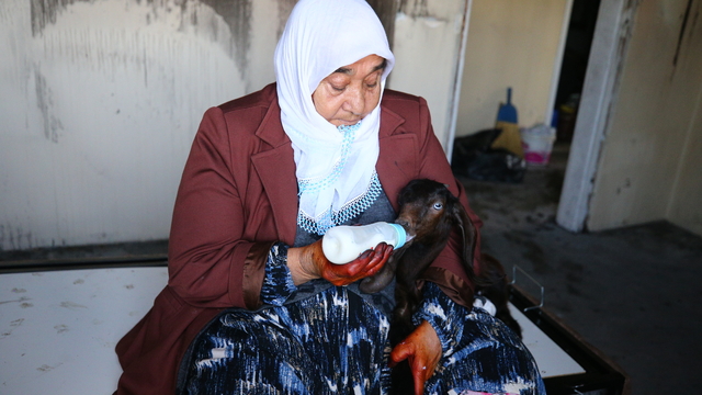 Şehit annesi biberonla beslediği "yavrularının" evindeki yangından kurtarılmasıyla teselli buldu