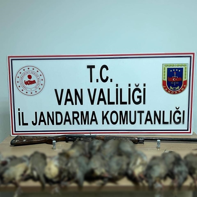 Kaçak avcıya 87 bin TL ceza kesildi; araçta 17 ölü kınalı keklik ele geçiri...