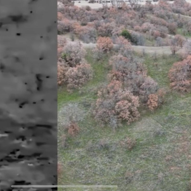 Termal drone destekli denetimde 2 kaçak avcı yakalandı