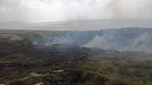 Samandağ ilçesinde makilik alanda çıkan yangın söndürüldü