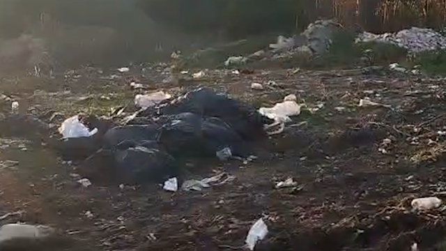 Vatandaşların kirlettiği ormanlık alanı muhtar temizledi