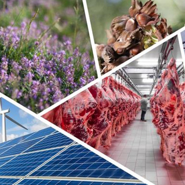 Denizli'de tarımsal kalkınmaya 82 milyonluk hibe desteği